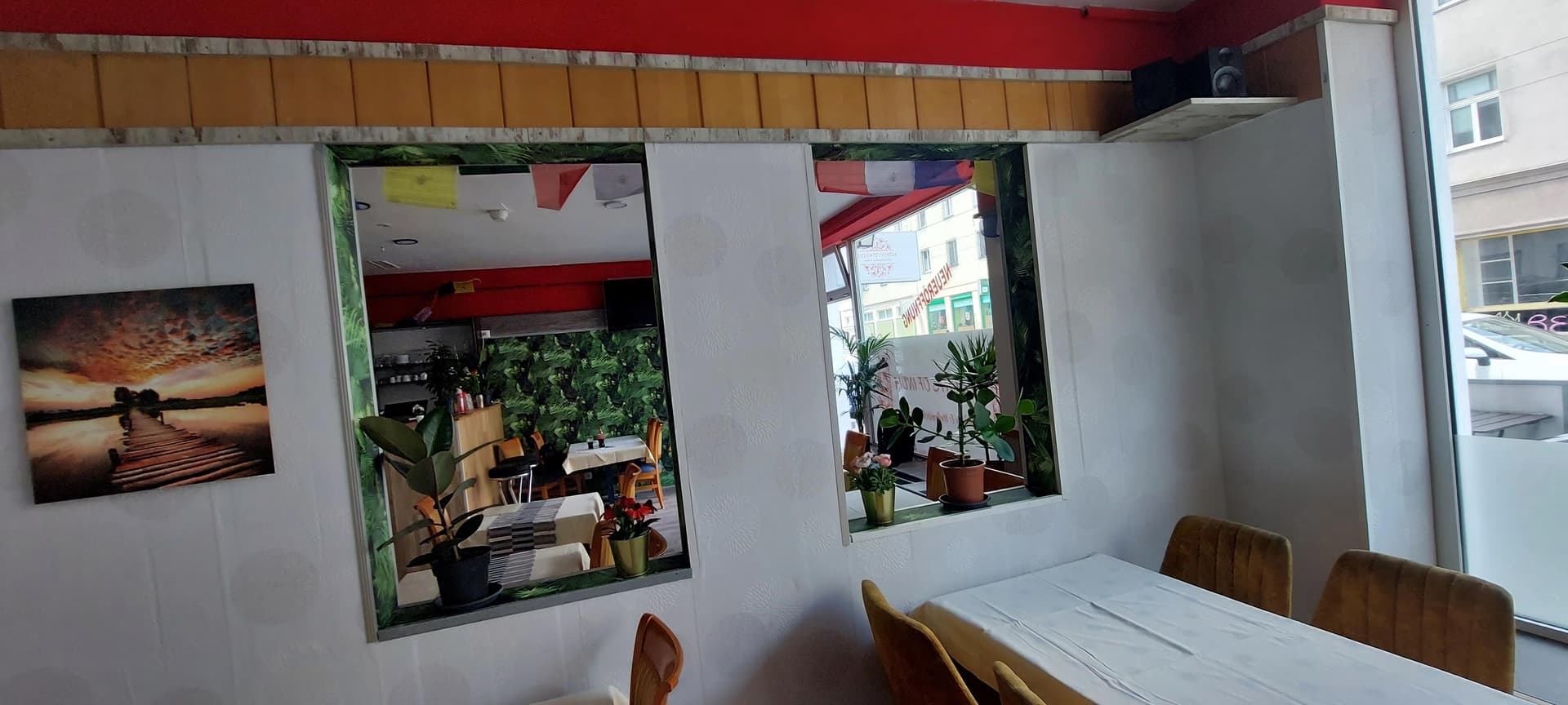 Inside of the restaurant showing windows with plants